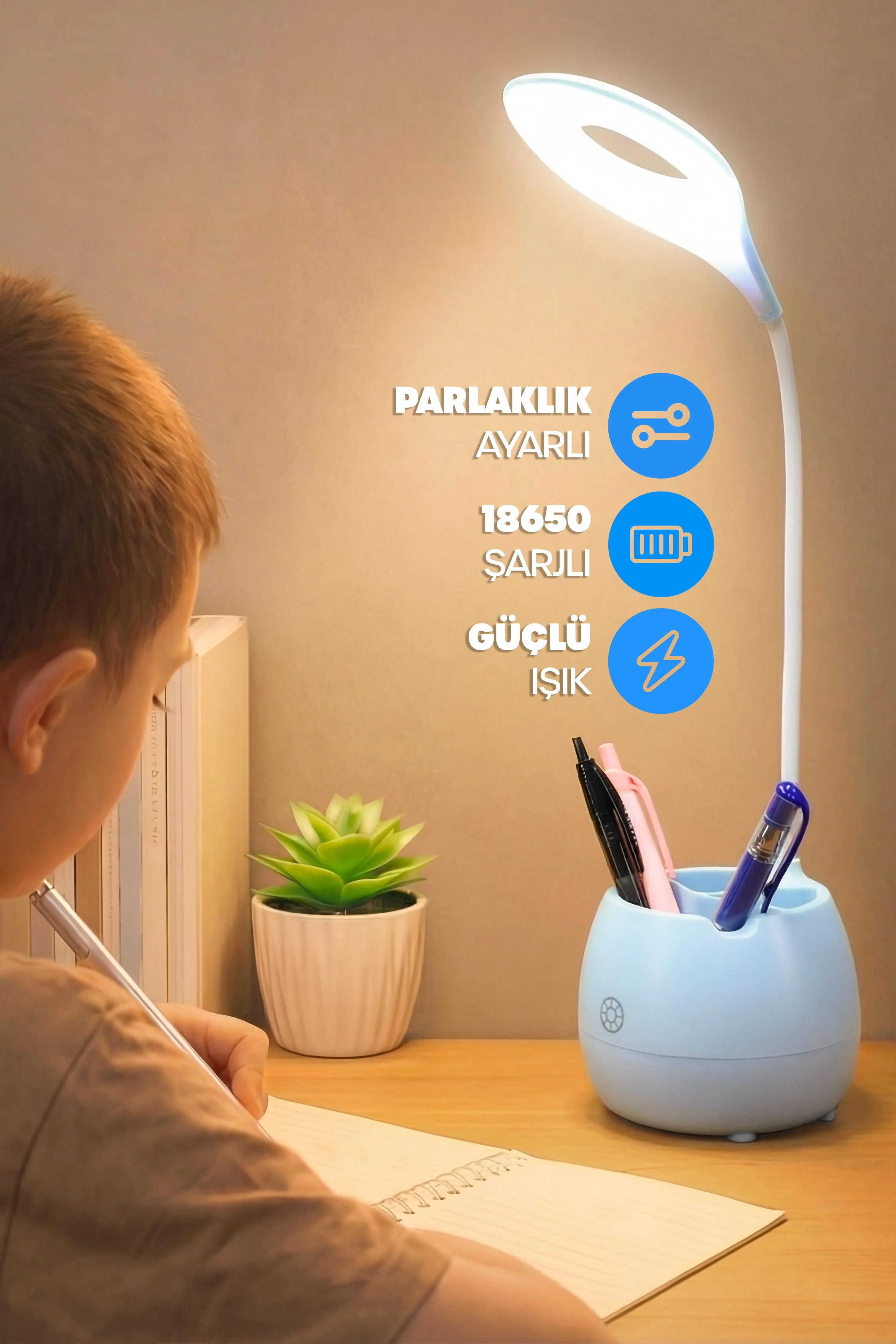 Önizleme 3